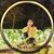 Huong Nguyen's profile image