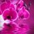 Kimberly Bradley's profile image