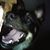 Joshua Watson's profile image