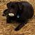 Wendy Nygaard's profile image