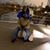 Shauranda Lawson's profile image