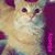 Snow Key's profile image