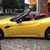 Lola Ferrari's profile image