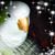 Joan Lynn Brooks's profile image