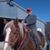 Steven Worden's profile image