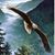 Gerry Hebert's profile image