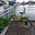 Diane Smith Rutledge's profile image