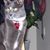 Seymour Stinkie's profile image