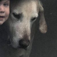 Colleen Smith's profile image