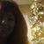 Thea Katze's profile image