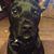 Keith Bowles's profile image