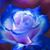 Alivia Duddy's profile image
