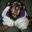 Karen Almeida's profile image