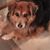 Ursula Jo Norwood's profile image