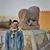 Zaid Mirdan's profile image