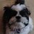 Carline Frizzell's profile image