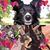 Kathy Kline- Hall's profile image
