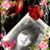 Tracy Armolt's profile image