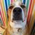 David Brennfleck's profile image