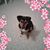 Cindy Teel's profile image