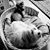 Donna Taylor Frady's profile image