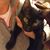 Lisa Thornton's profile image
