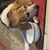 Kenny Rustay's profile image