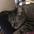 Sheila Weber Patton's profile image