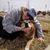 Lindsey Siegfried-Young's profile image