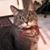 Nina Leary's profile image