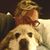 Lorna Revett's profile image