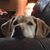 Diane Holst Brown's profile image