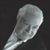 Philip Wener's profile image