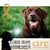 Donna D Brannegan Dutrumble's profile image
