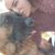 Dana LeShaee Bodine's profile image