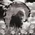 Shelly N Mike Lohmann's profile image