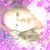 Sonya Warner's profile image