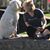 Kathy Schomburg's profile image