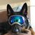Cary Bradley's profile image