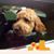 Jackie Whitlock's profile image