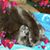 Greta Vaillette's profile image