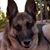 Debra Watts's profile image