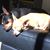 Dann T Richey's profile image