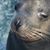 Sylvia Mork's profile image