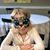 Adina Katz's profile image