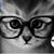 Dasai FJ's profile image