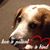 Mary Bubnis Cleveland's profile image