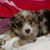Susan Bishop Criswell's profile image
