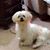 Pamela Hess's profile image