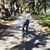 Melissa Lynn Amos's profile image